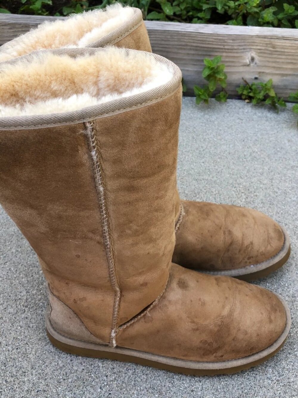 UGG AUSTRALIA Classic Tall Boots Women's 8 Brown Sherpa Leather Suede 5815